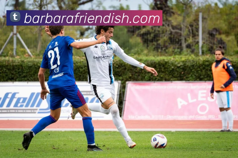mksports官网地址全站App